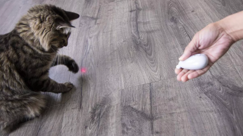 Hand pointing Smartykat Loco Laser pointer for cat playing with it.