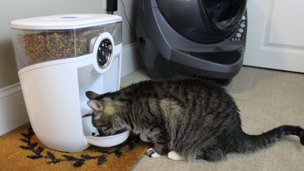 This WiFi-connected pet feeder automatically dispenses your pet's meals.