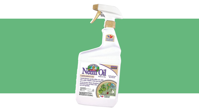 Bottle of sprayable neem oil.