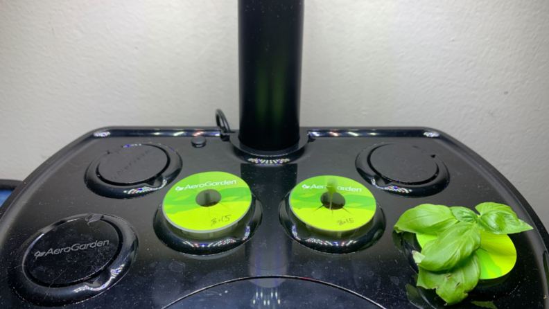 The AeroGarden hydroponic garden appears, freshly planted with three plants.
