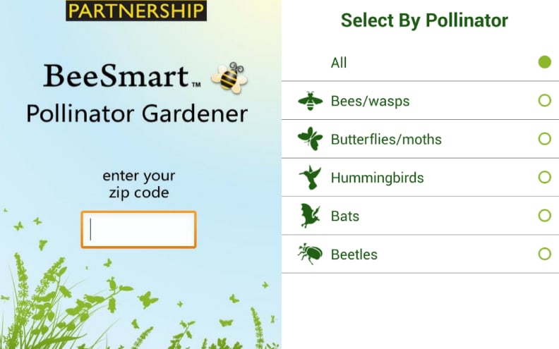 Bee Smart App
