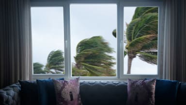 Living room with couch and large windows looking out to palm trees blowing from extreme winds