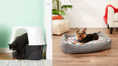 Make your foster pet feel at home with these affordable supplies.