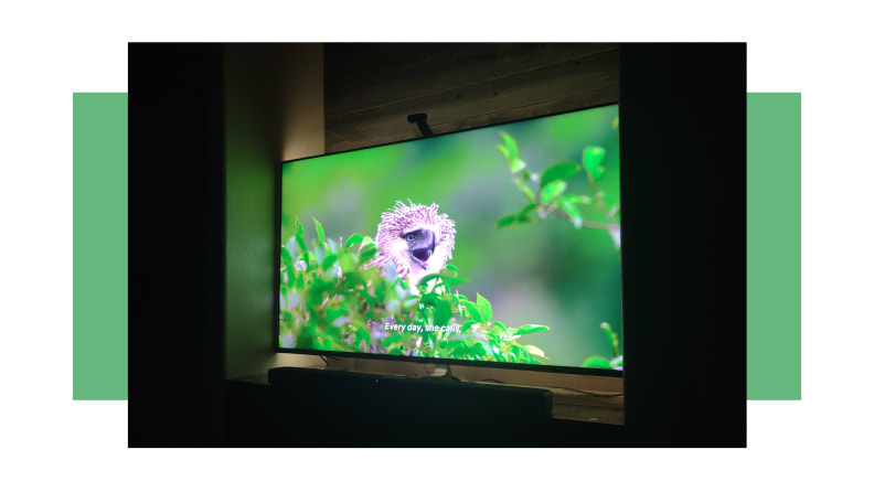 A TV with the backlight being used on displaying green colors.