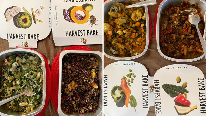 Daily Harvest Harvest Bakes samples