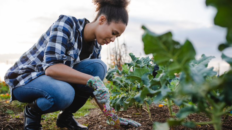 Woman gardening