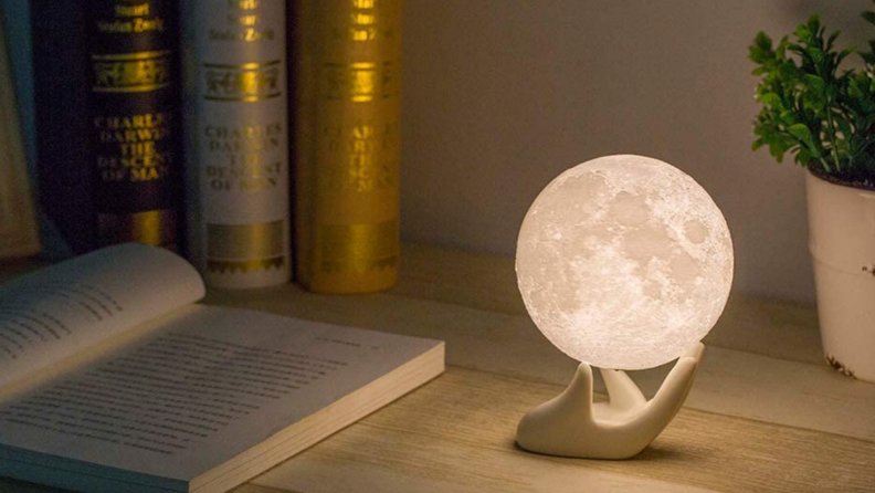 White hand holding moon shaped night light, next to plant and book.
