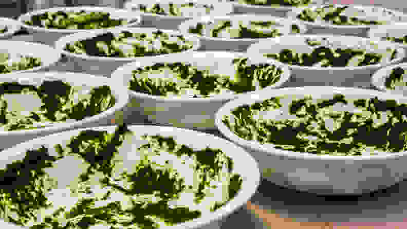 A series of bowls covered in patches of puréed spinach.