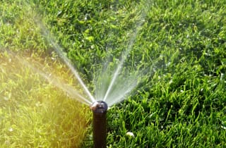 A sprinkler sprays water across a green lawn.