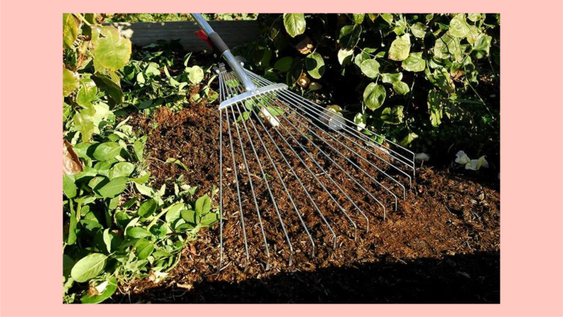 A metal rake head scrapes a bare patch of ground between two plant fronds.