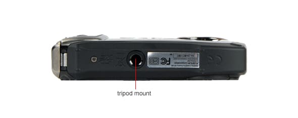Bottom Tour Image