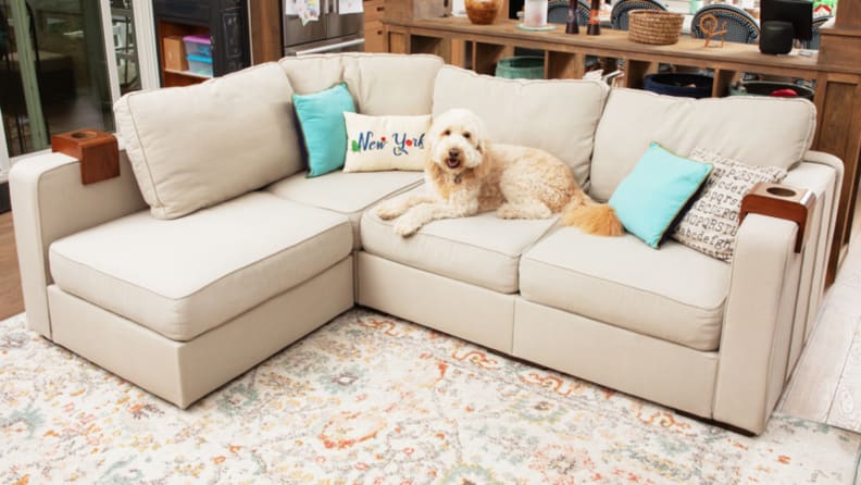 A Lovesac Sactional with a dog lying on the middle seat surrounded by pillows.