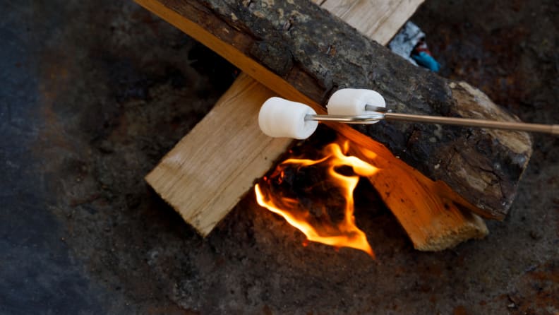 We made a campfire and toasted s'mores.