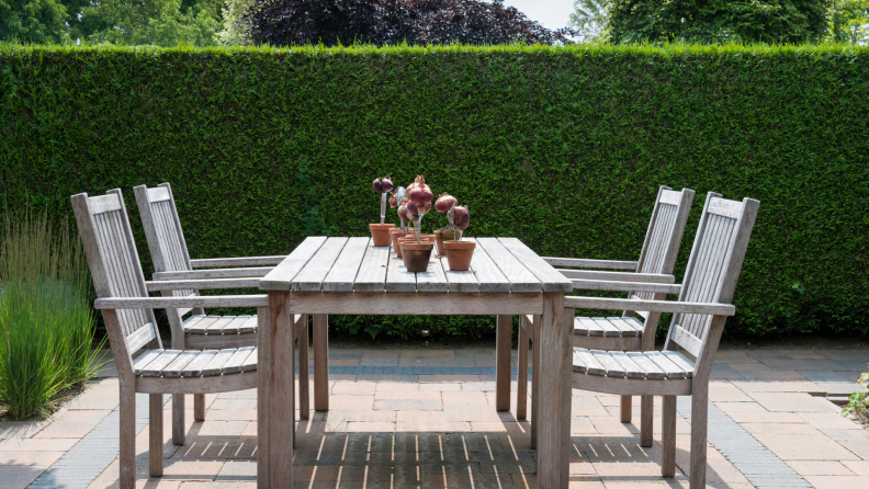 hedges work as great walls for garden rooms