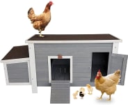 Product image of Petsfit Weatherproof Outdoor Chicken Coop