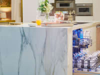 A luxurious Thermador dishwasher