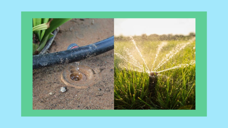 On the left, a soaker hose on the ground. On the right, a drip irrigation system in the garden.