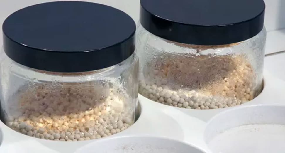 Zeolite granules in jars.