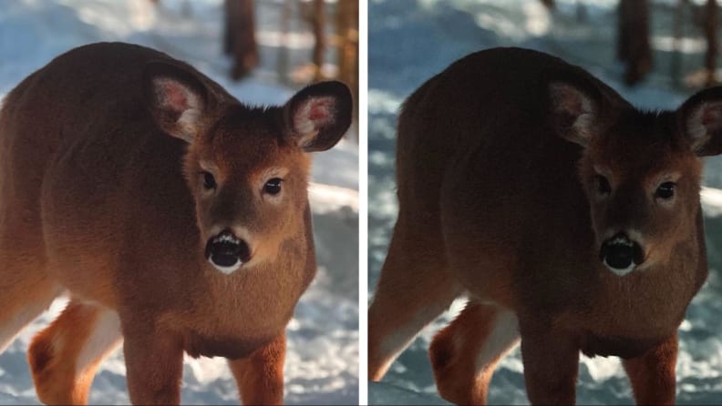 Two images of the same frame on the TV screen showing deer without power saving mode and power saving mode.