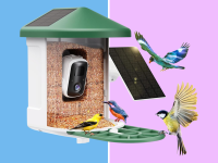 A gren-roofed Harymor smart birdfeeder with camera against a pink and blue background.