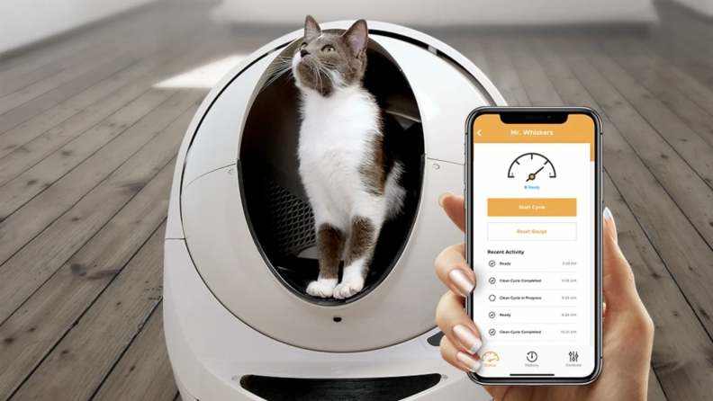 A cat exits the Litter Robot self-cleaning litter box.