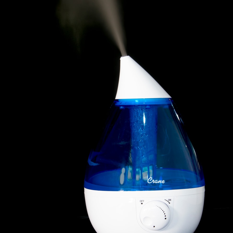 The 10 Best Small Humidifiers on the Market