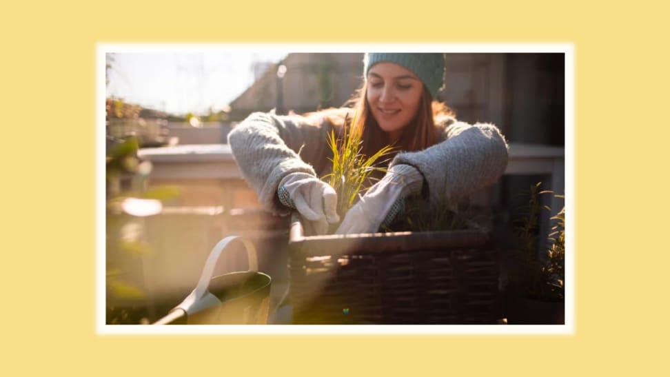 Person smiling while gardening outside in the cold against a yellow background.