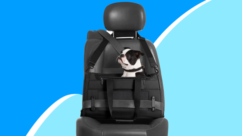 Black and white dog inside of black pet carrier while strapped into leather car seat.