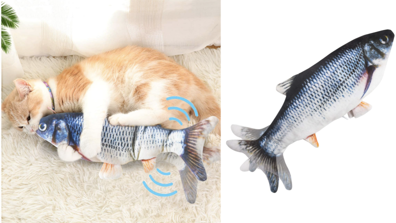 A cat plays with the fish kicker