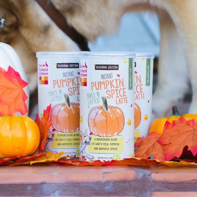 Pets can have lattes, too