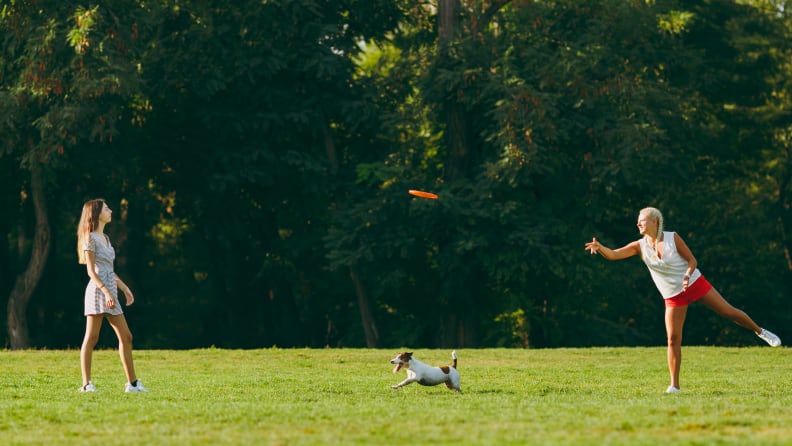 frisbee