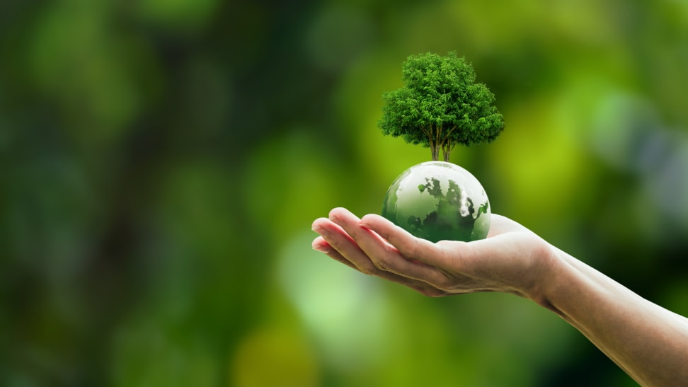 Today is Earth Day! Here are 15 easy ways to go green