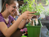 A girl holds a plant over an indoor hydroponic garden reservoir.