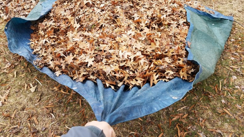 I used four different tools to get rid of leaves — here's what worked best