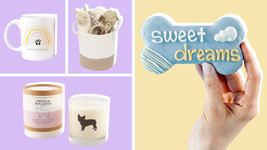 A white mug saying "Best dog mom ever!" with a pawprint and warm rainbow against a purple background, a knit basket holding various dog toys and treats against a purple background, a candle in packaging with a french bulldog sillhouette and the candle out of packaging against a purpel background, and a blue dog cookie in the shape of a bone with "Sweet Dreams" on it against a light golden background.