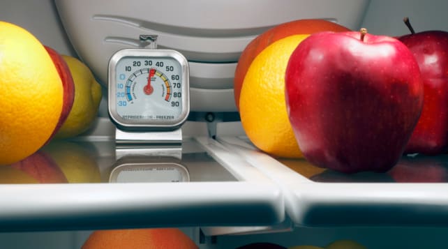 Refrigerator-thermometer-temperature-settings