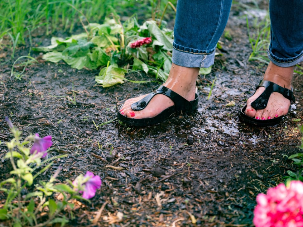 Vil ikke ciffer frø Birkenstock Eva sandals review: I love the waterproof thongs - Reviewed