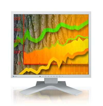 Product Image - Eizo FlexScan S1902