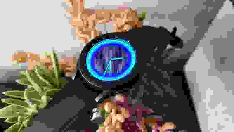 A close-up of the Samsung Galaxy Watch4, showing a neon watchface with plants in the background.