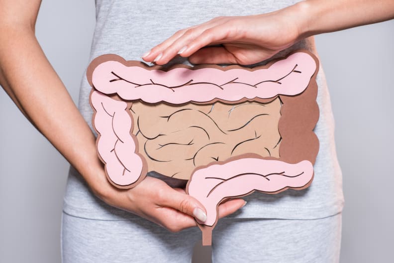 Intestine diagram