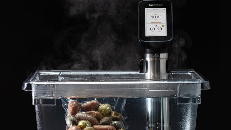 Review: PolyScience Professional Creative Sous Vide Immersion Circulator -  DadCooksDinner