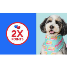 Product image of Summer Specials at PetSmart