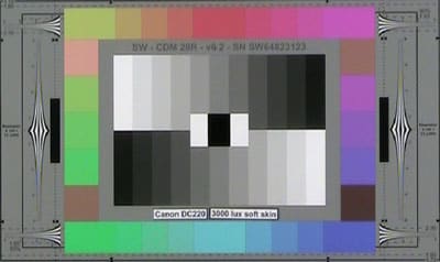 Canon_D220_3000lux_softskin_web.jpg