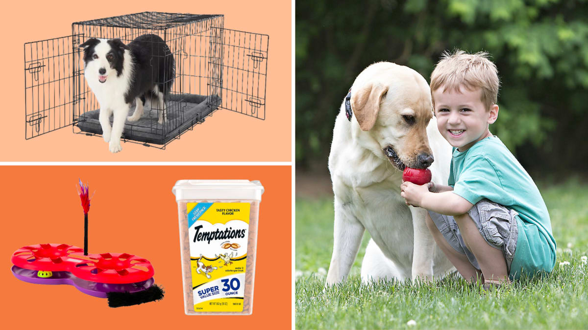 PetSmart sale Save on toys treats and more for dogs and cats