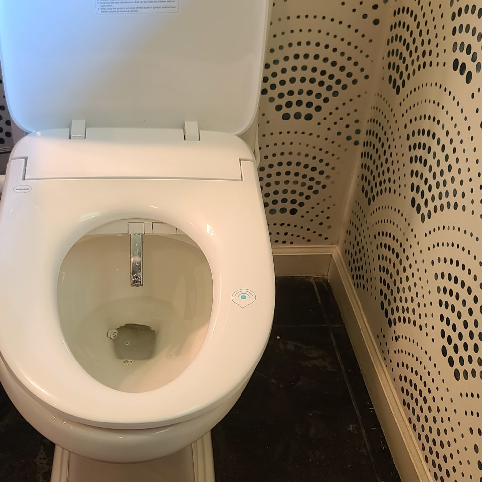The Alpha Bidet UX Pearl review: Great wash, strong value - Reviewed