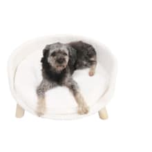 Product image of Tucker Murphy Nott Pet Sofa