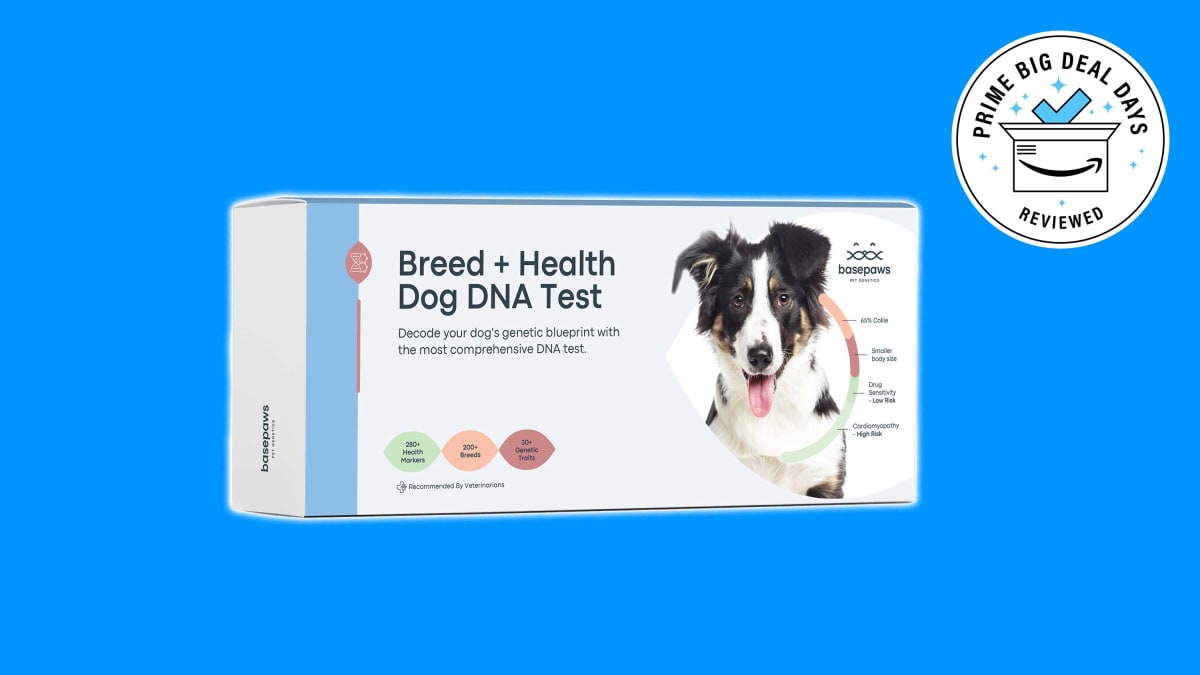 Basepaws dog DNA kits Save on DNA testing for your dog on Amazon Prime Basepaws dog DNA kits Save on DNA testing for your dog on Amazon Prime