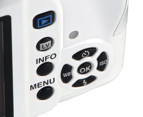 Buttons Photo 2