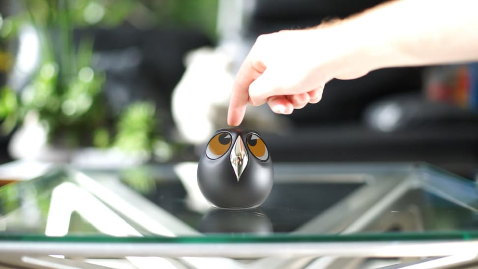 Owl is designed to keep an eye on your house and loved ones.