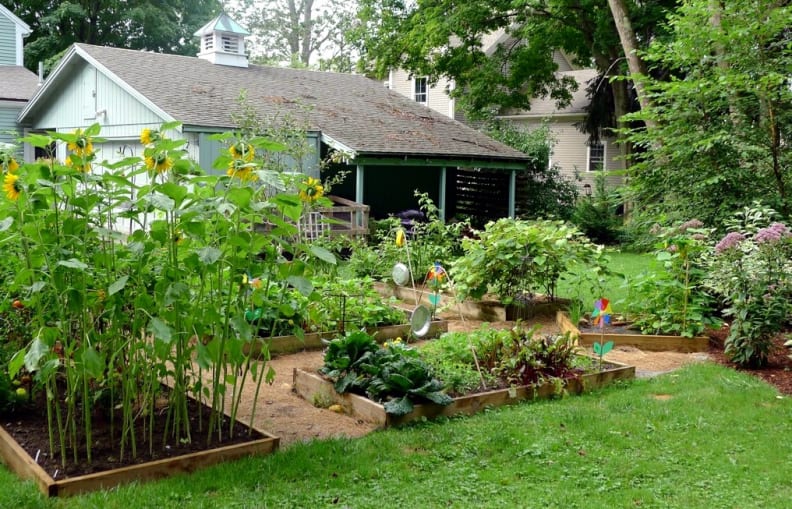 Veggie Garden (llstalteri).jpg